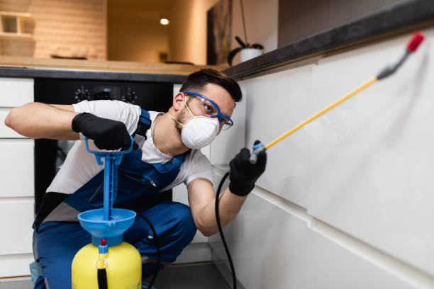 Trusted Presque Isle, ME Pest Control Experts