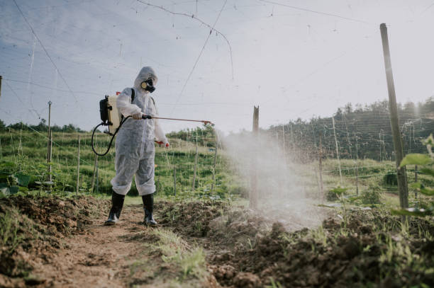 Pest Control Cost in Presque Isle, ME