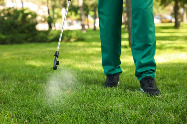 Best Insect Control  in Presque Isle, ME