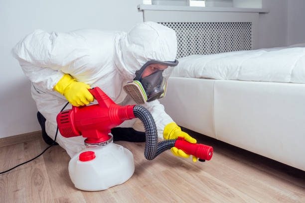 Best Emergency Pest Control  in Presque Isle, ME
