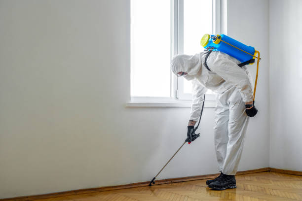 Best Exterminator Services  in Presque Isle, ME