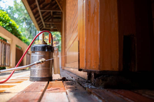 Best Termite Control Services  in Presque Isle, ME