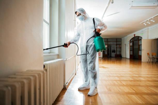 Best Flea Control Services  in Presque Isle, ME