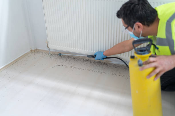 Best Ant Control Services  in Presque Isle, ME