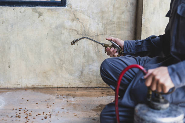 Best Best Pest Control Companies  in Presque Isle, ME